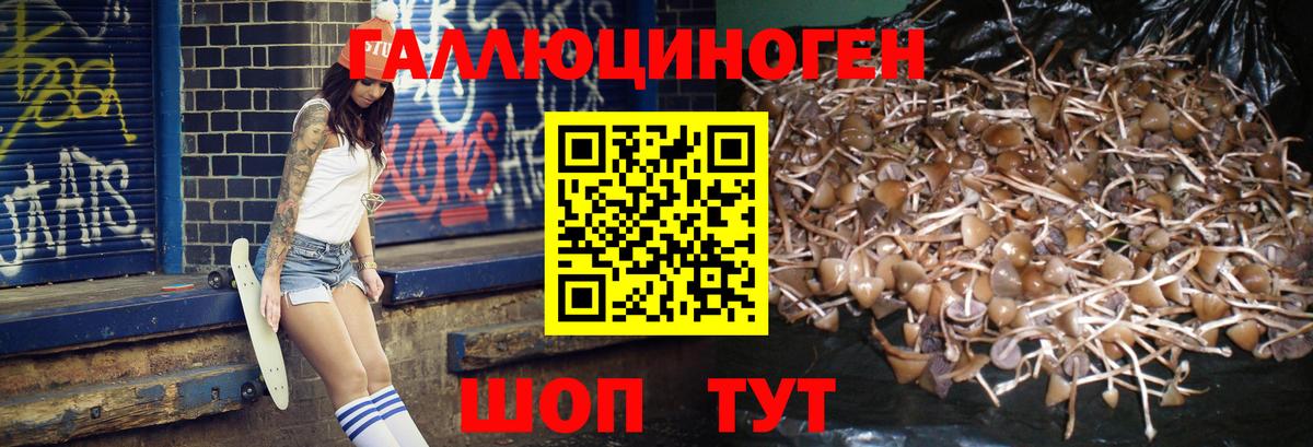 Галлюциногенные грибы мицелий  Вход с VPN  Кушва 