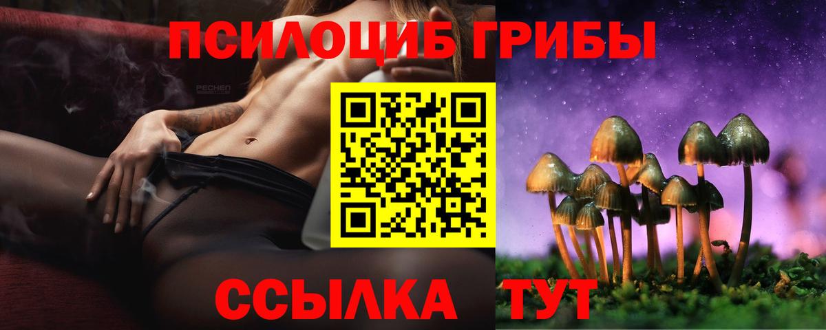 Галлюциногенные грибы Cubensis Кушва